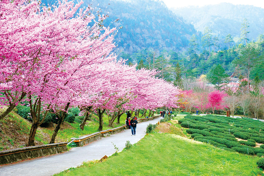 İyul ayında hava necə olacaq?