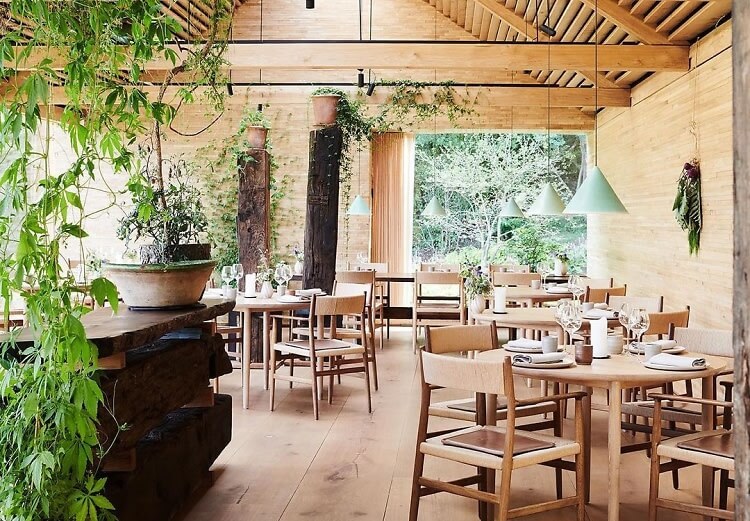 İctimai iaşə dövriyyəsi 54% artıb