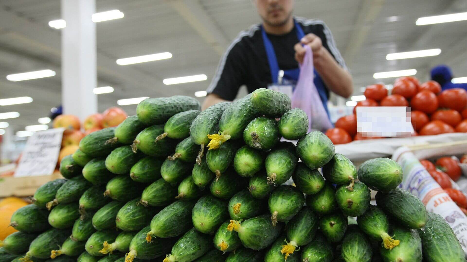 Fermerlər bu məhsula görə 30-40 min manat zərərə düşüblər – VIDEO