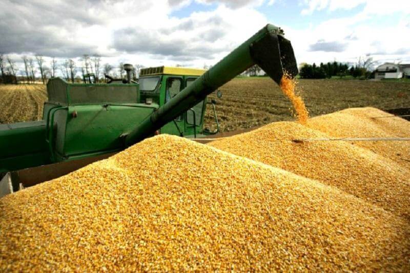 Stavropoldan Azərbaycana 27,6 min ton taxıl tədarük edilib