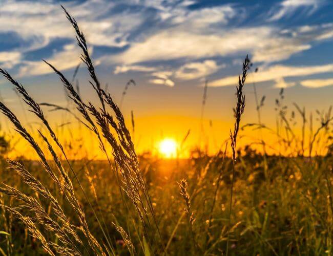 Rayonlarda temperatur 42 dərəcəyədək yüksələcək - XƏBƏRDARLIQ