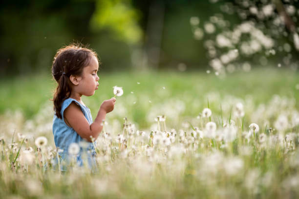 Şənbə günü hava necə olacaq?