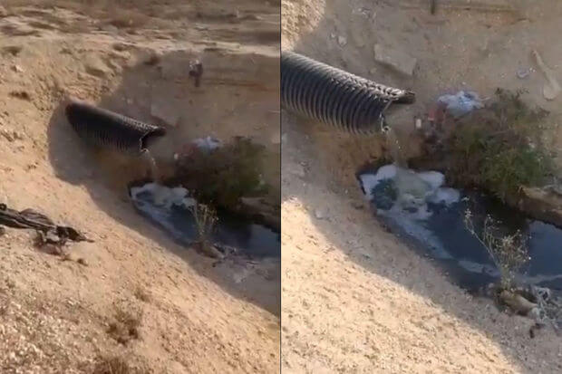 Çimərlikdə acınacaqlı vəziyyət: Kanalizasiya suları dənizə axıdılır - VİDEO