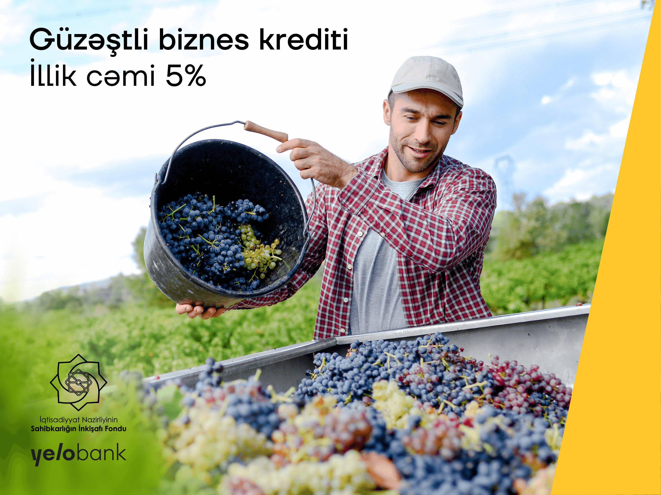 “Yelo Bank”dan illik cəmi 5%-lik kreditlə biznes dəstəyi