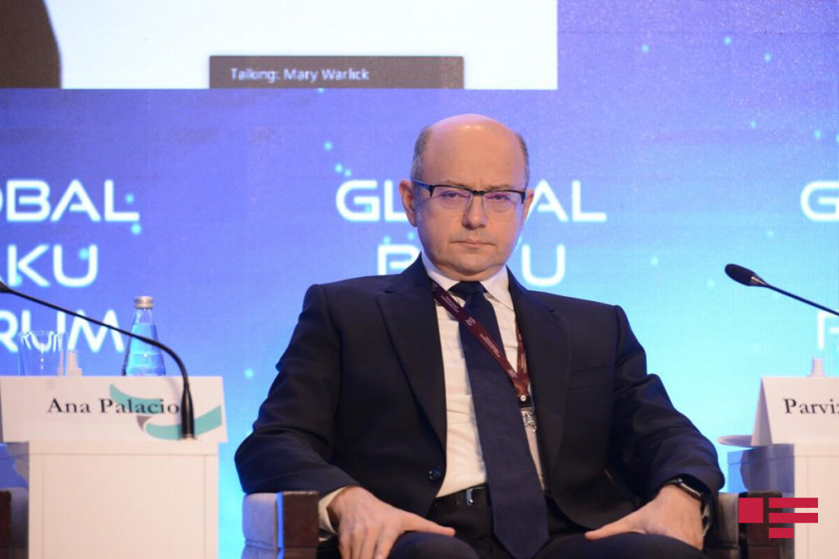 Bu il TANAP və TAP ilə Türkiyə və Avropaya 11 milyard kubmetr qaz nəql edilib