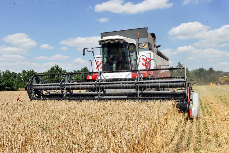 Deputat taxılın məhsuldarlığından narazıdır