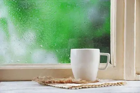 Sabahın hava proqnozu