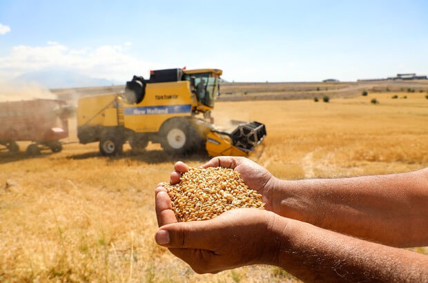 Rusiyadan Azərbaycana taxıl ixracına qadağa qoyuldu