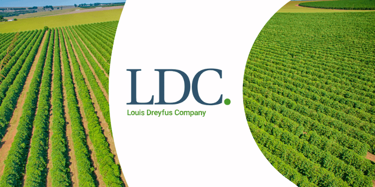 "Louis Dreyfus" Rusiyadan taxıl ixracını dayandırır