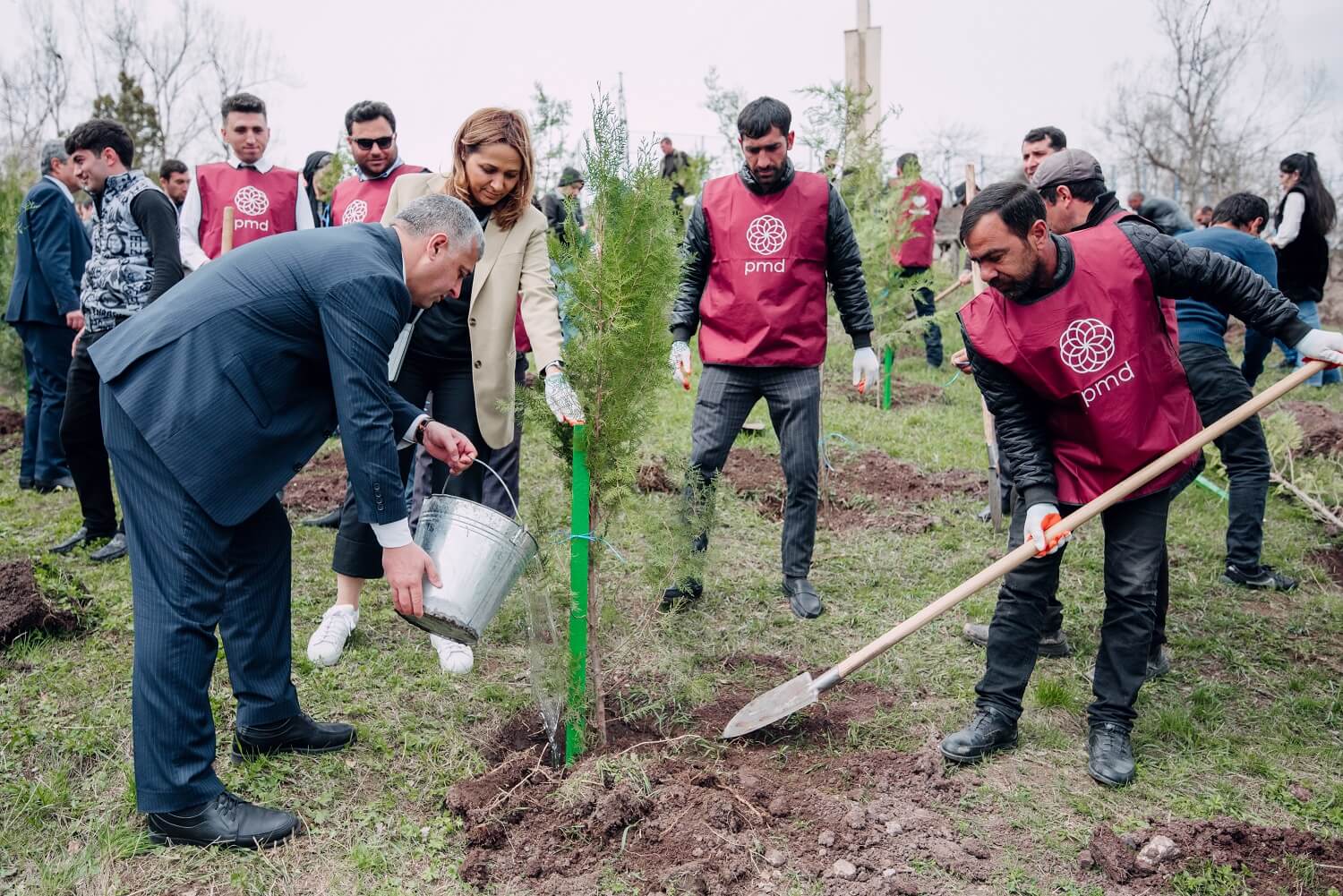 Növbəti 3 rayonda “Vətən Bağı” salındı