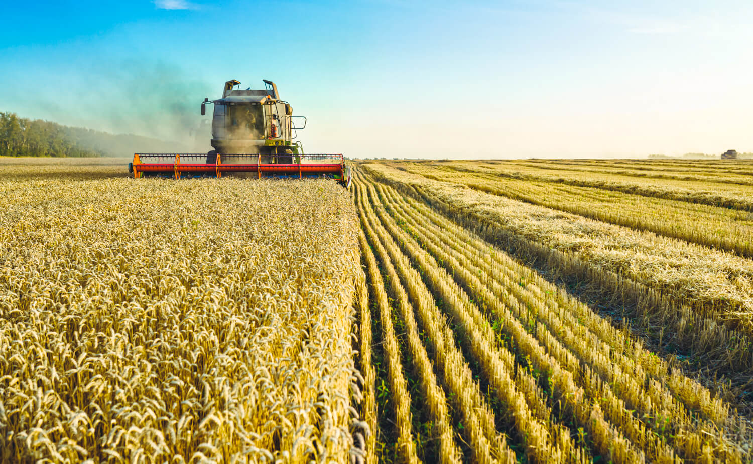 İqtisadiyyatını kənd təsərrüfatı üzərində qurmuş ölkələr - SİYAHI