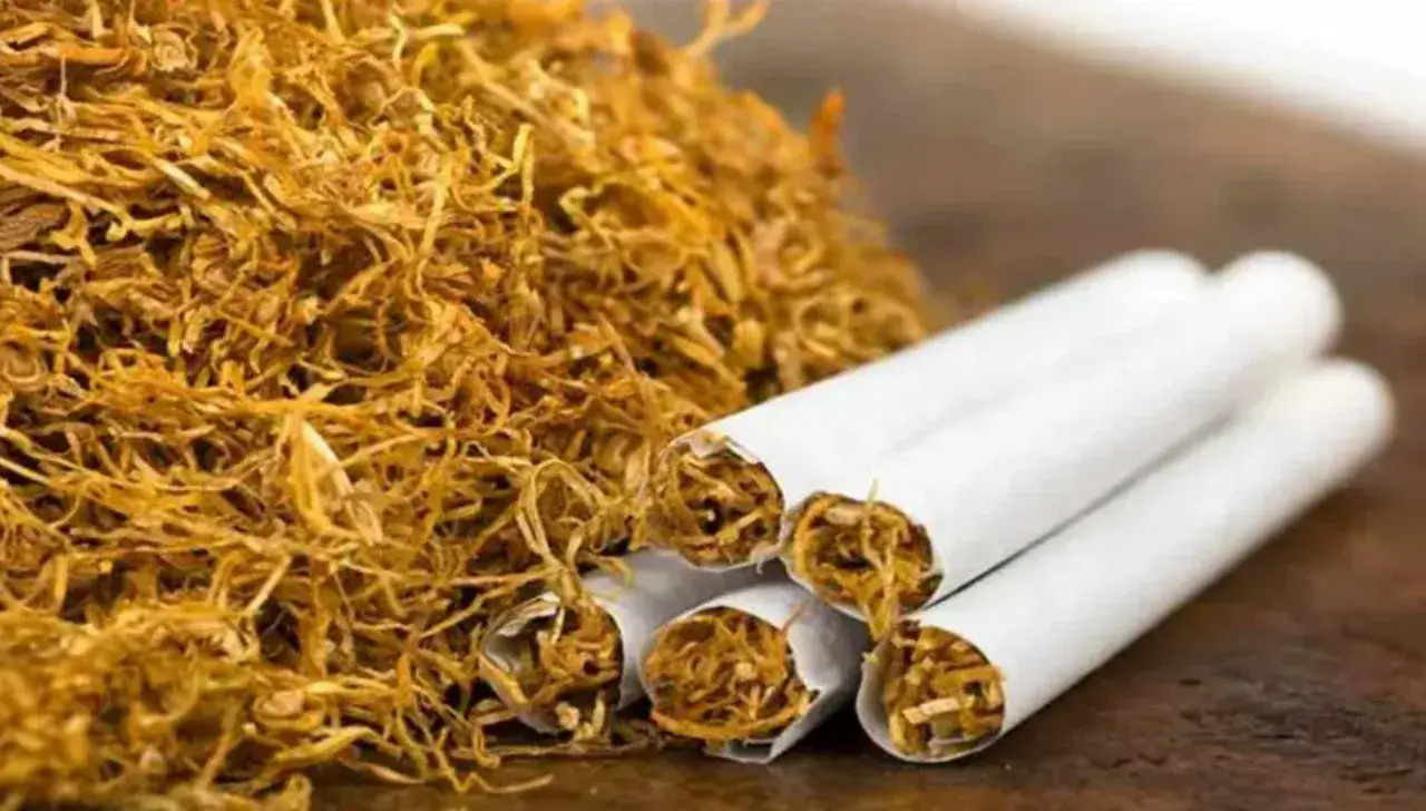 Azərbaycan Türkiyədən tütün idxalını kəskin artırıb