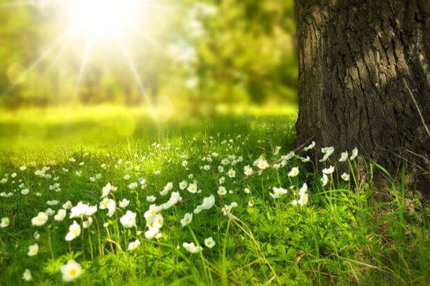 Sabahın hava proqnozu açıqlandı