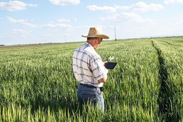 Fermerlər vergilərdən azad olundular: Nə dəyişəcək?