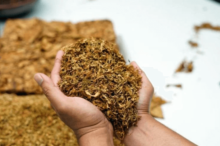 Tütün məmulatlarının ən çox istifadə edildiyi ölkələr - SİYAHI