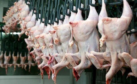 Toyuq ətinin satış qiymətləri artıbmı? - Assosiasiyadan cavab