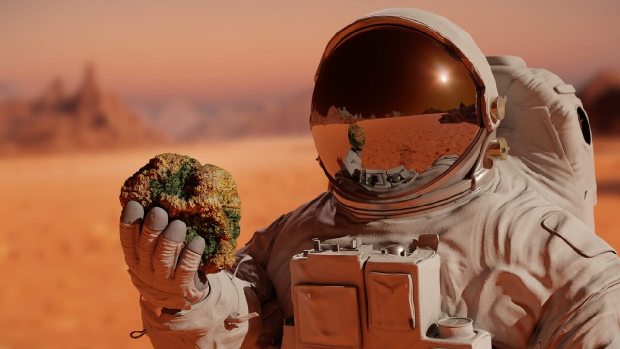 NASA Mars torpağını Yerə gətirmək üçün ucuz yol axtarır