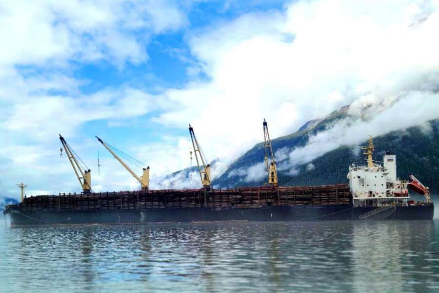 Azərbaycanın "Xocalı" gəmisi Kanadadan Çinə 30 min ton taxta çatdıracaq