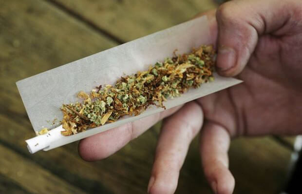 Bu il dəyəri 120 milyon manatdan çox olan narkotik vasitə dövriyyədən çıxarılıb