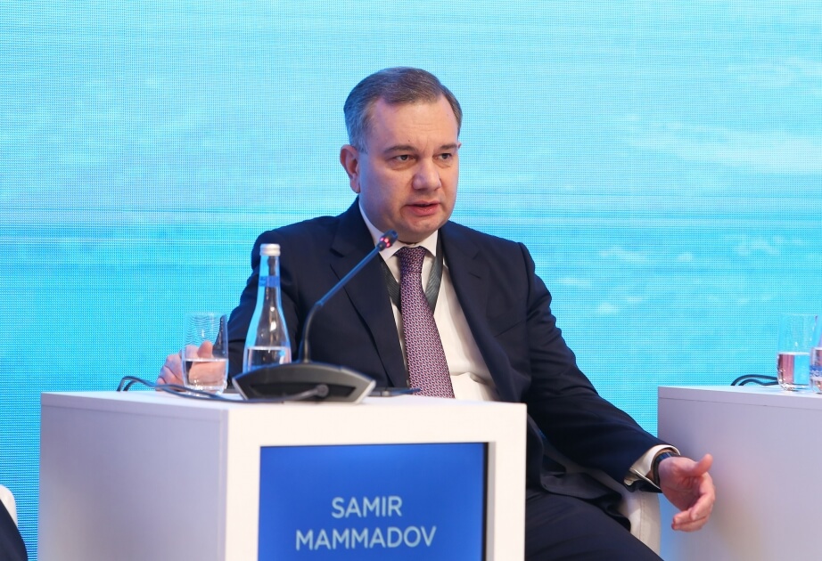 Nazir müavini: "Bu ilin sonuna qədər xidmətlərin 15%-i rəqəmsal olacaq"