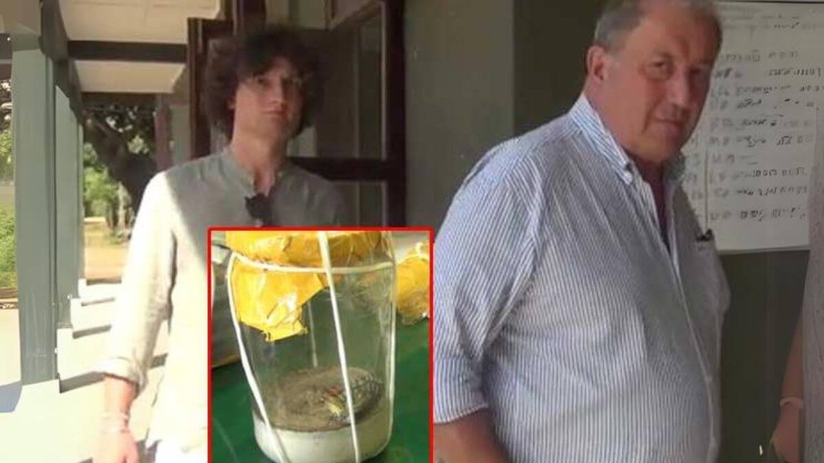 Şri-Lankadan kəpənək oğurlayan şəxslər 180 min avro cərimələnib