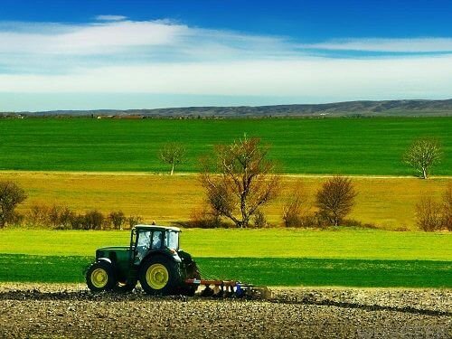 Azərbaycanda aqrar sektor 1%-ə yaxın böyüyüb