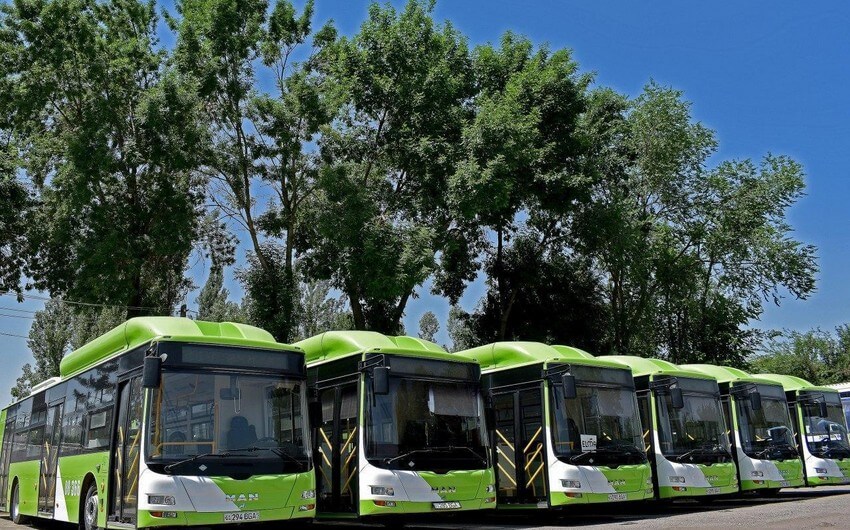 COP29 üçün avtobus parkının 50%-i "Yaşıl avtobus"larla təchiz olunub