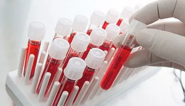 Liderlərin yalnız 2 qan qrupundan çıxdığı müşahidə edildi