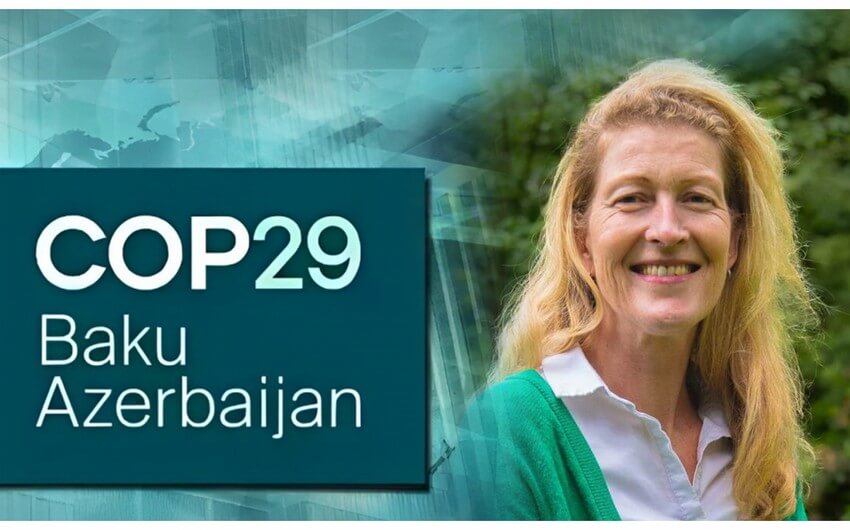 "Su problemi 2050-ci ilə qədər qlobal ÜDM-i 8-15% azalda bilər"