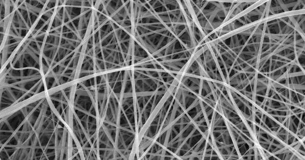 Dünyanın ən nazik spagettisi istehsal olunub: Adi gözlə görünmür