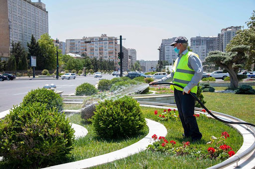 Yaşıllıqları məhv edənlər 8 ilədək azadlıqdan məhrum ediləcək