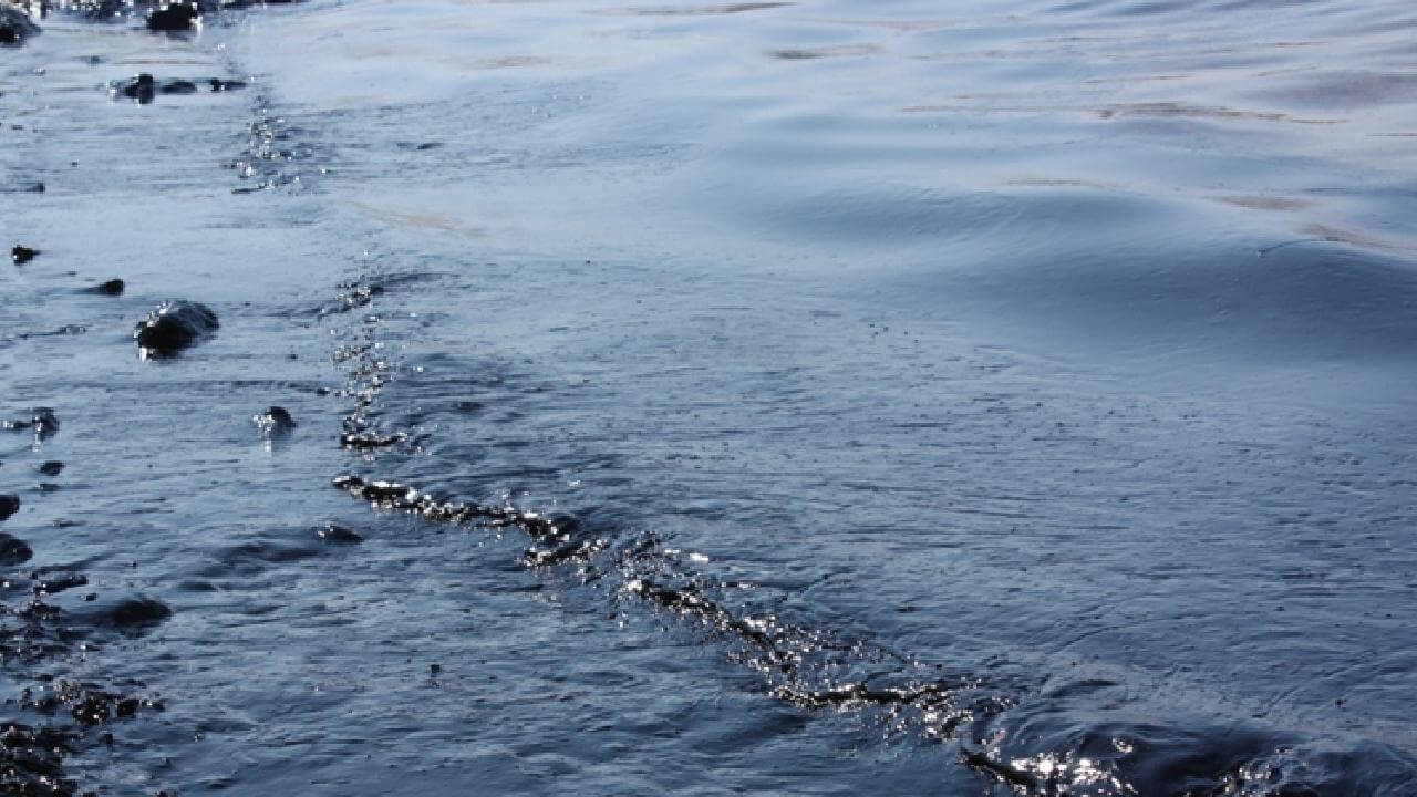 Qara dənizdə neft sızması böyük ekoloji böhrana səbəb olur