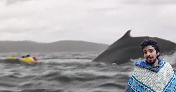 Balinanın udduğu adam dünyanın gündəmində: İçəridə gördüklərini danışdı