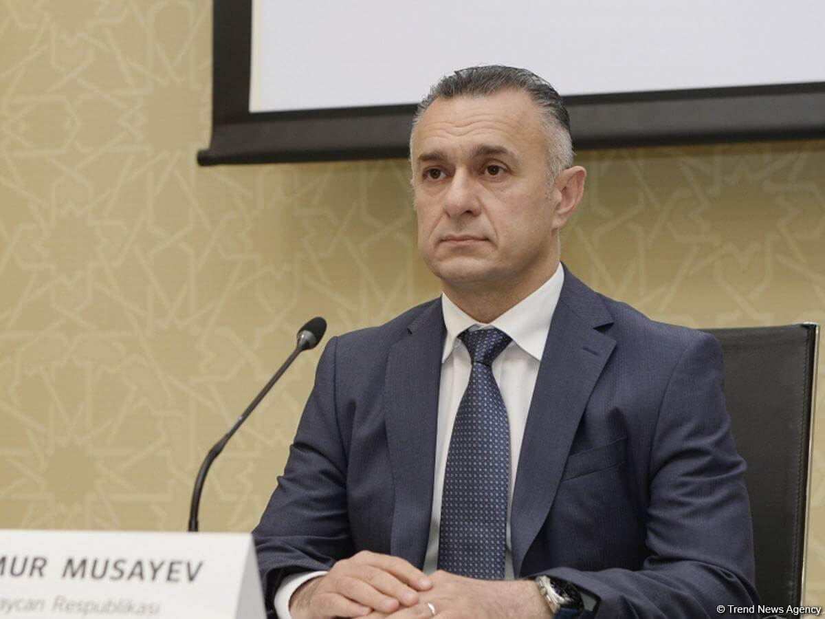 Teymur Musayev: Kimsə mətbəxdə diş çəkdirirsə, nazirlik buna heç nə edə bilməz