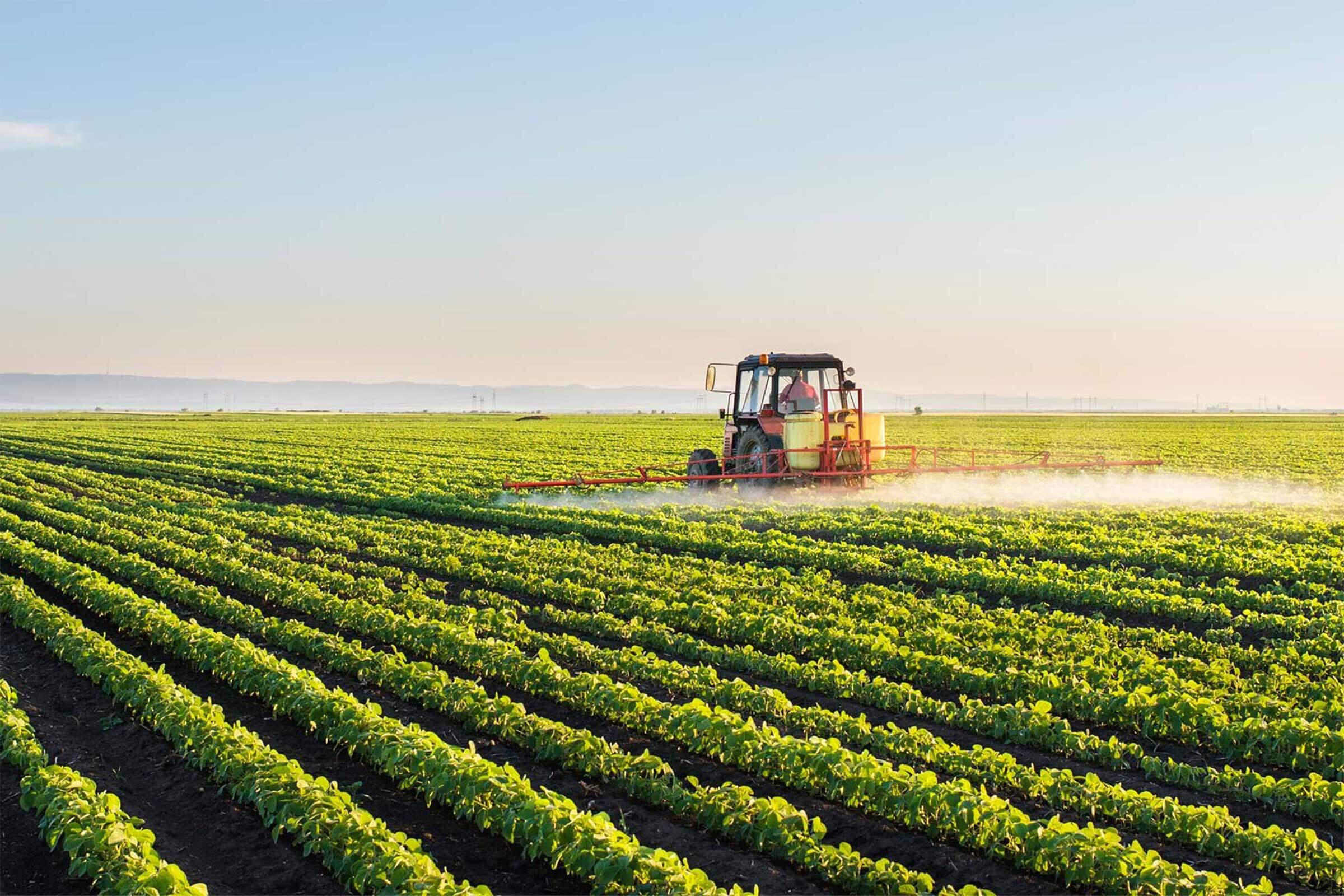 Azərbaycan və Qazaxıstan aqrar sahədə birgə layihələr icra edəcək