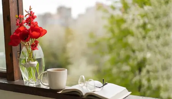 Əhalinin ən çox kitab oxuduğu ölkələr - TOP-5