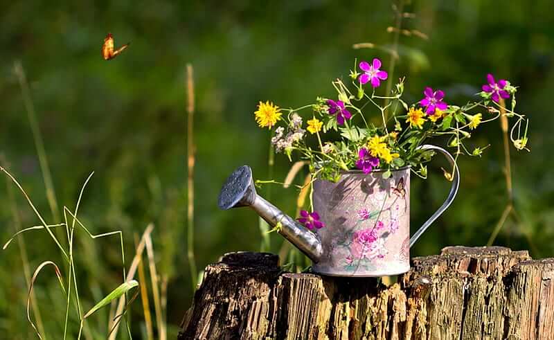 Gələn həftə havanın temperaturu 30 dərəcəyədək yüksələcək