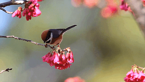Sabahın hava proqnozu