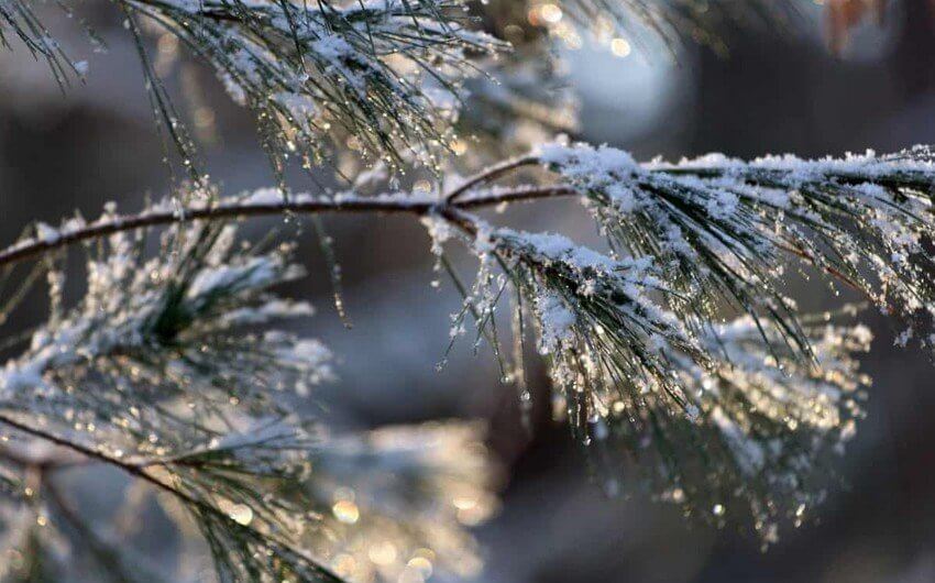 Sabahdan bəzi rayonlara sulu qar yağacaq - XƏBƏRDARLIQ