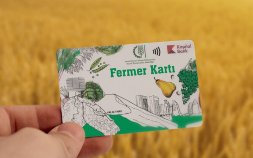 Fermerlərə çatacaq subsidiya başqalarının cibinə axıb