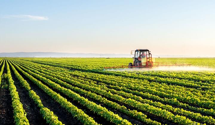 Aqrar Sığorta Fondu: Bu il Azərbaycanda fermerlərə dəymiş zərər 50-70% arta bilər