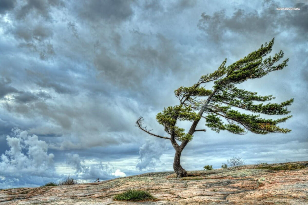 Yağışlı və küləkli hava mayın 6-dək davam edəcək