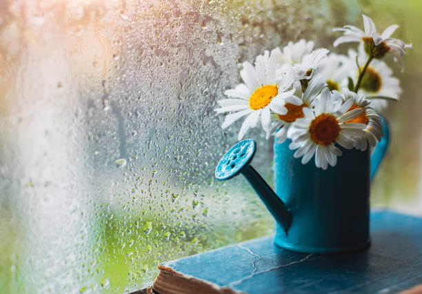 Qeyri-sabit hava nə vaxtadək davam edəcək?