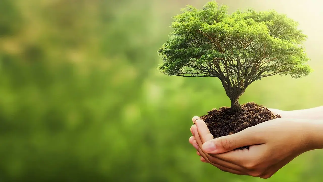 Ölkəyə əkin üçün gətirilən bəzi bitkilər gömrük rüsumundan azad edilir