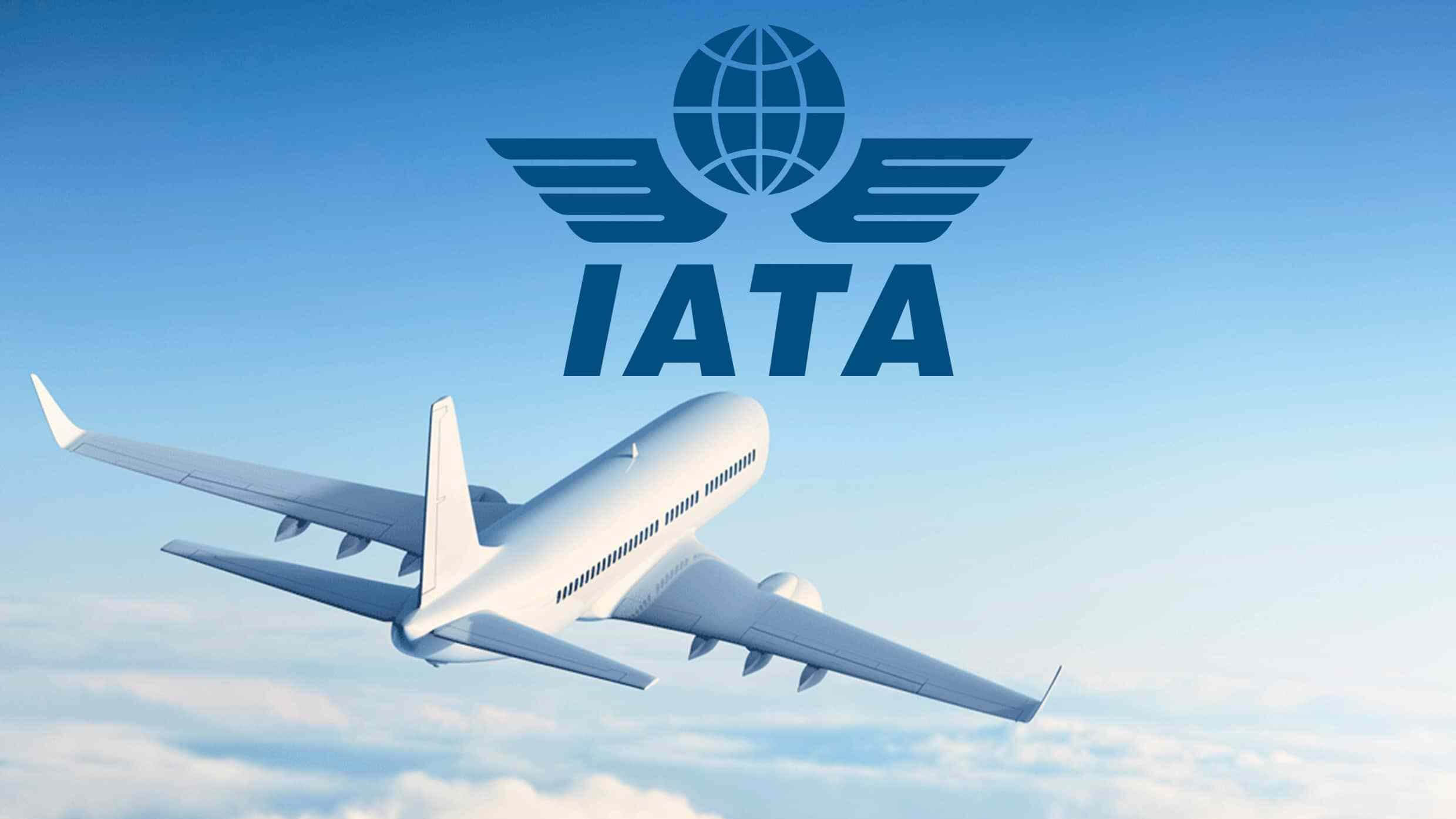 IATA: “Azərbaycan dayanıqlı aviasiya yanacağına keçidə hazırlaşır”