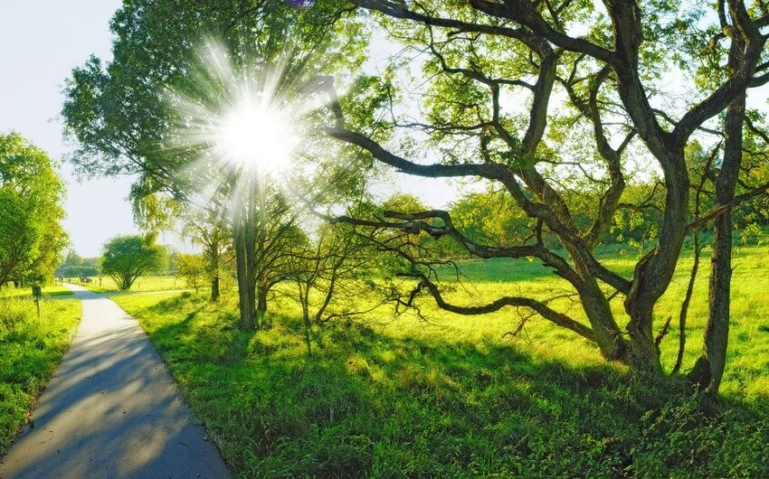 Sabah 30 dərəcə isti olacaq