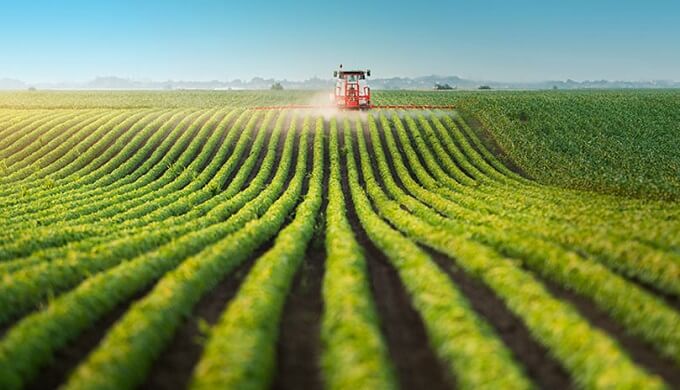 Ötən il 198 qadın fermerə güzəştli vəsait ayrılıb