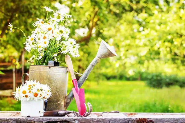 Sabahın hava proqnozu