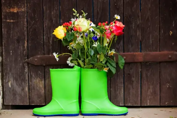 Sabahın hava proqnozu