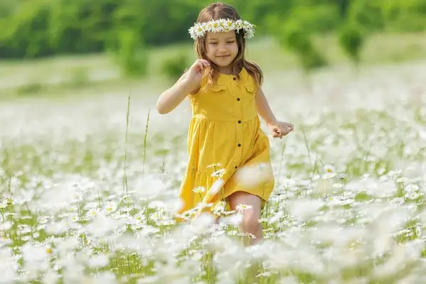 Sabahın hava proqnozu